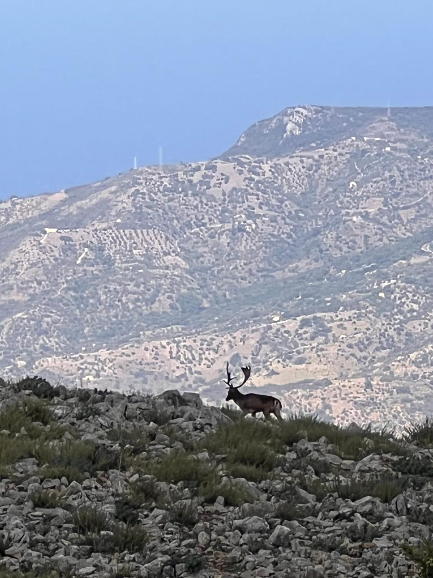 Mandra Chiusilla Collesano